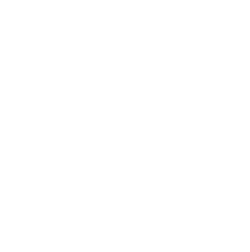 Mr. Fox Logo